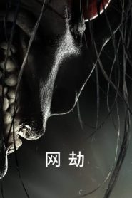 龙之家族第二季