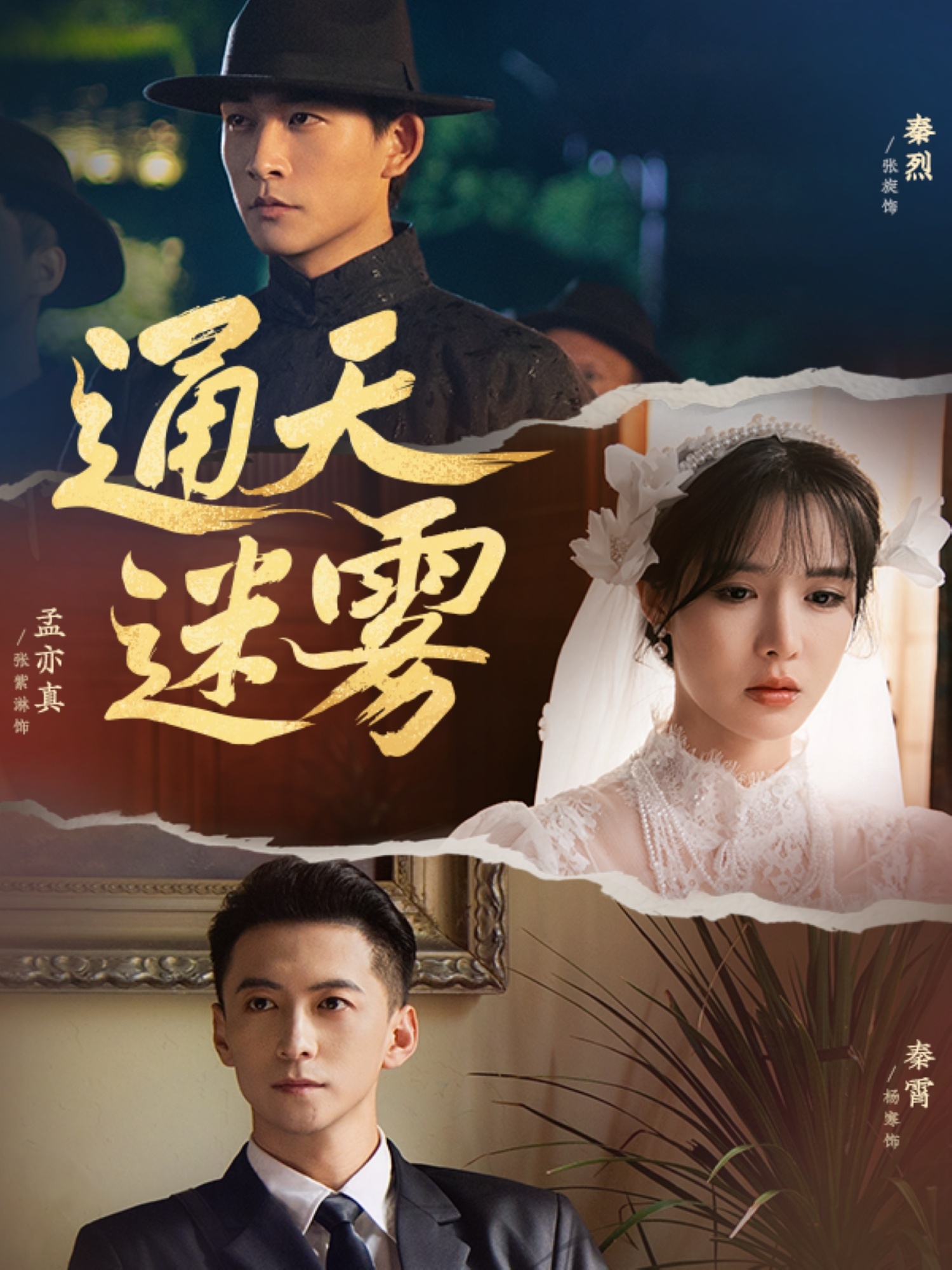 离婚前夜顾夫人重振妻纲