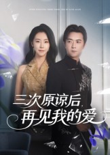 三次原谅后再见我的爱