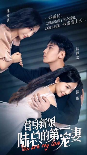 替嫁新娘陆总的第一宠妻
