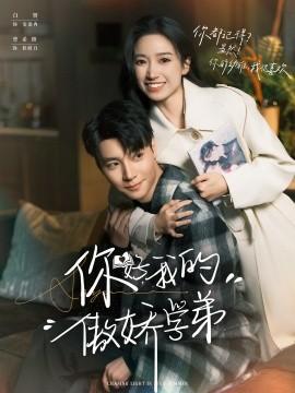 你好，我的傲娇学弟