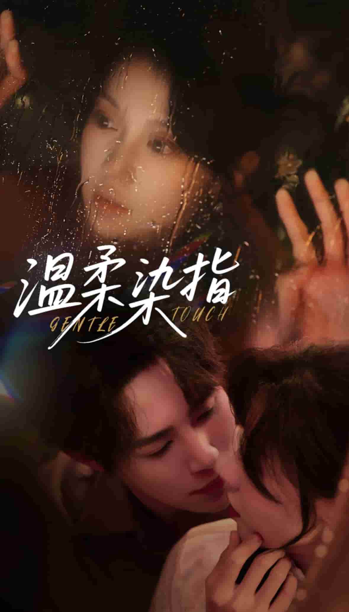 法甲尼斯vs洛里昂20240420